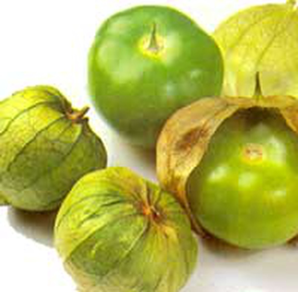 Tomatillo Food Library Shibboleth!