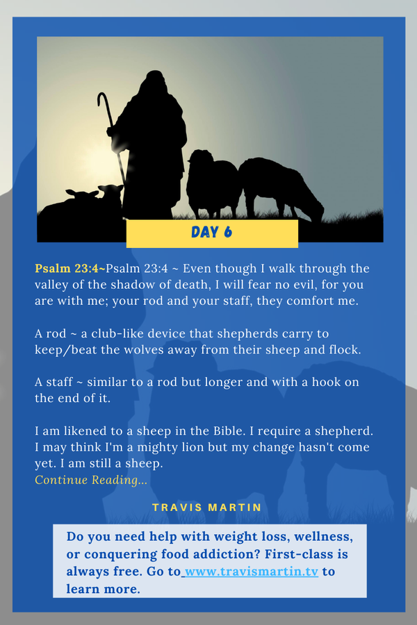 Day 6: Psalm 23:4 ~ Even Though I Walk Through The Valley Of The Shadow ...