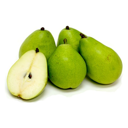 green-anjou-pear-food-library-shibboleth